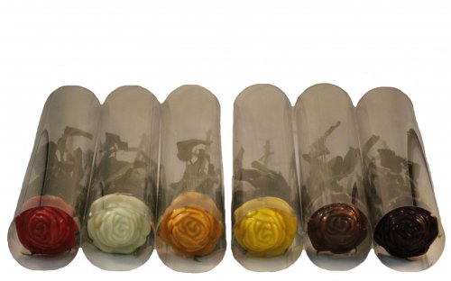 2430 Rozen 6 kleuren in transparante koker