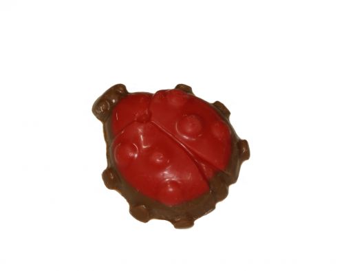 1115 Lieveheersbeestjes