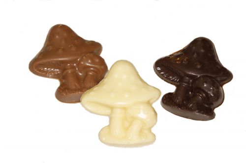 3120 Paddestoeltjes assortie melk-puur-wit